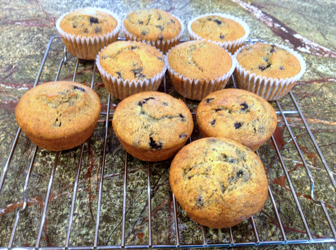 blueberry corn muffins