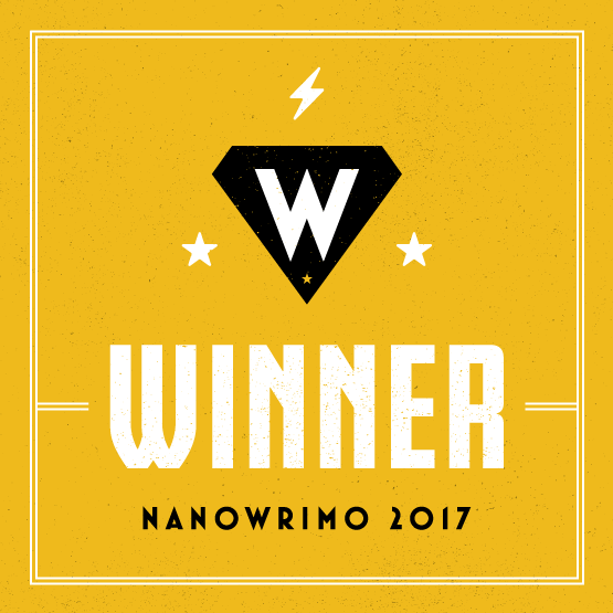 nano 2017 winner