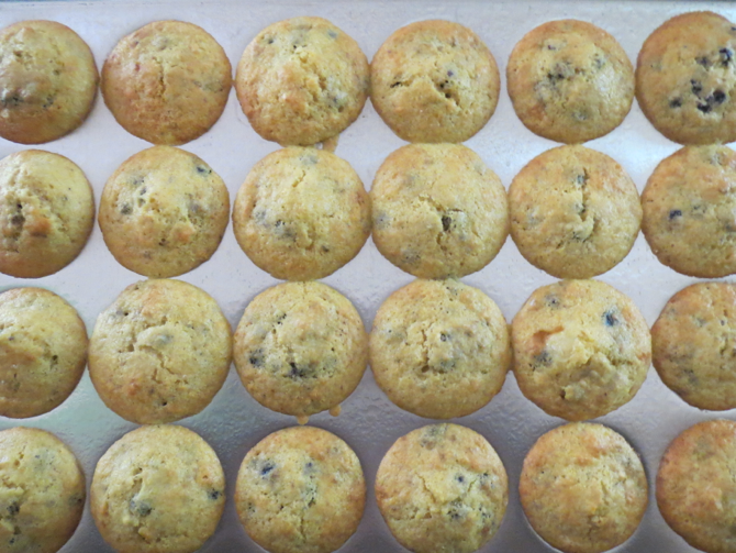 blueberry corn mini-muffins in pan