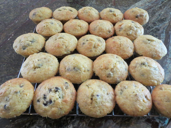 blueberry corn mini-muffins